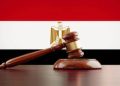 إعلان قرب الانتهاء من تحقيقات قضية التمويل الأجنبي يعزز من حقوق الإنسان ودور المجتمع المدني