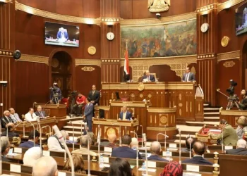 تعديل قانون العمل الأهلي واستراتيجية حقوق الإنسان أهم المكتسبات بعد ثورة يونيو
