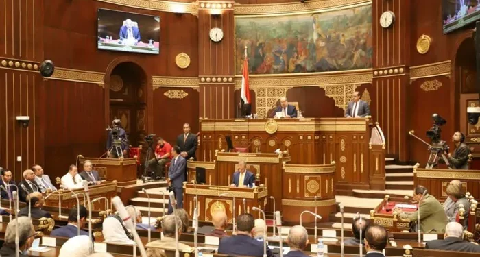 تعديل قانون العمل الأهلي واستراتيجية حقوق الإنسان أهم المكتسبات بعد ثورة يونيو